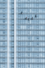 Cleaners cleaning glass buildin