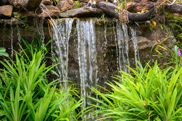 Artificial tropical garden waterfall