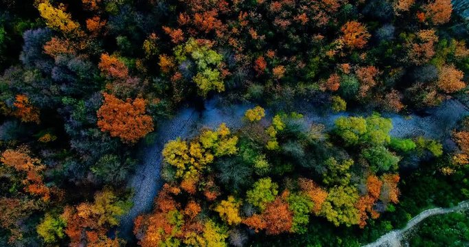 Aerial view of the the Vikos Gorge in the autumn, Greece