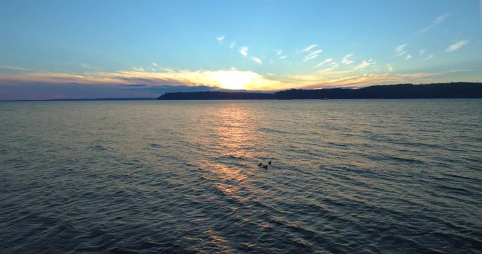 Sunset Skies Illuminate a Stump and Floating Birds Along the Puget Sound Pacific Ocean