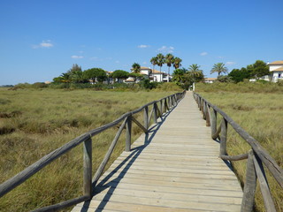 Obraz premium Isla Canela es una isla española situada en el término municipal de Ayamonte. Actualmente, además de los dos núcleos de población, la Barriada de Canela y Punta del Moral