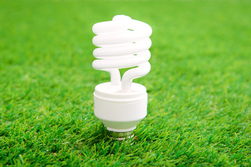 Energy efficient light bulb on green grass