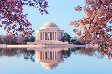 Foto auf Acrylglas Schönes Jefferson Memorial am frühen Morgen mit Kirschblüten © steheap