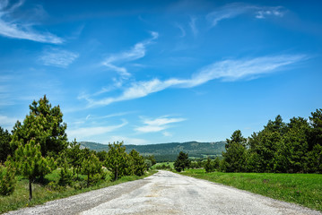 Road in green landscape under blue sky with white fluffy clouds