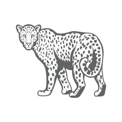 Leopard  mascot logo illustration vector