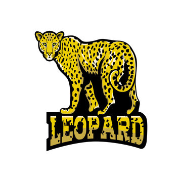 Leopard  mascot logo illustration vector