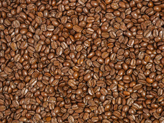 Roasted coffee beans as a background