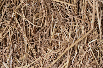 Straw background