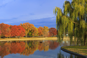 Fall Washington DC, Constitution Garden Pond