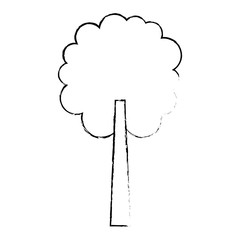 tree natural botanical ecology forest vector illustration sketch