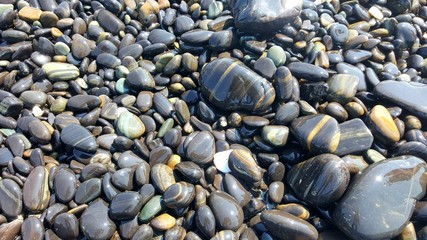 Stone on the beach.