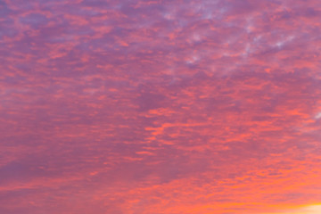 Beautiful pink sunrise sky