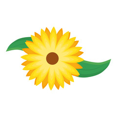 flower vector illustration