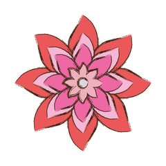 flower vector illustration