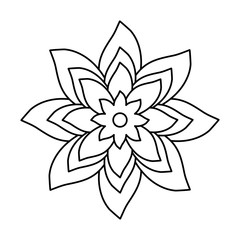 flower vector illustration