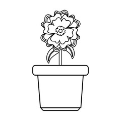 flowerpot  vector illustration