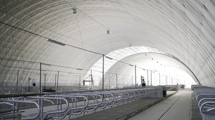 New cowshed. Construction of a barn