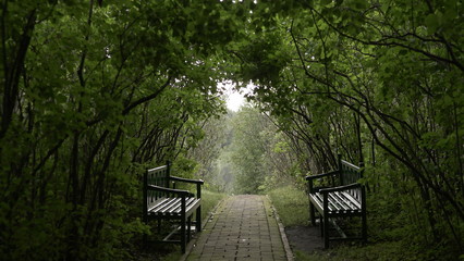 two wooden benches opposite each other in the park