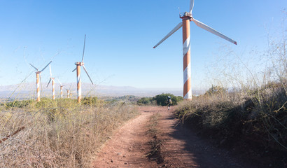 Wind turbines on Golan Heights of Israel