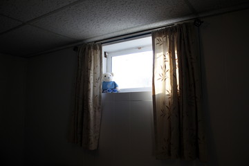 Teddy bear by the window