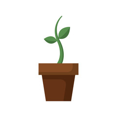 potted growth plant natural flora botanical vector illustration