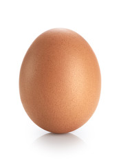 Egg isolated on white background.