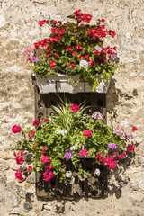 Flowers on Wall Pupitres Chamery