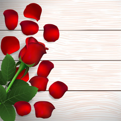 Red rose and rose petals on wooden background. Greeting card for Valentine's day, women's day, mother's day, birthday. Top view with space for your text. Vector illustration