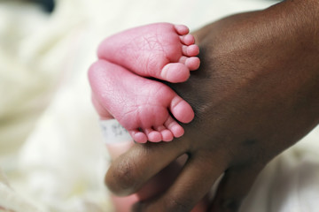 Hand holding a pair of newborn feet