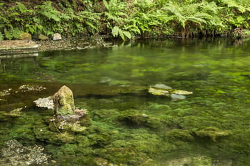 池山水源の湧水池