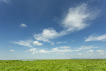 Fototapeta na wymiar Plateau lakes, blue sky, white clouds and wetlands
