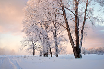Snowy frozen landscape of sunrise on lakeside with trees

