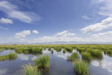Plateau lakes, blue sky, white clouds and wetlands