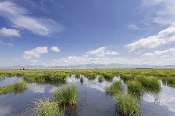 Foto op Plexiglas Plateau lakes, blue sky, white clouds and wetlands © clearjade