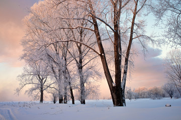Snowy frozen landscape of sunrise on lakeside with trees
