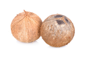 whole mature coconut for oil preparing and coconut milk on white background