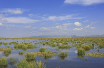 Plateau lakes, blue sky, white clouds and wetlands