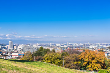 丘の向こうに望む住宅街