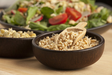 sprout in the wooden bowl