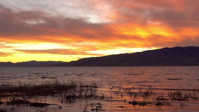 Colorful sunset reflecting on Utah Lake as waves roll into the reeds.