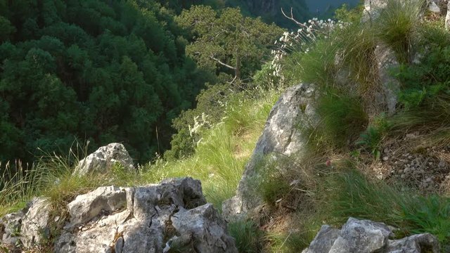 View from famous Banjska stena on Drina river in Tara National Park, Serbia, tilt view 4k
