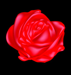 abstract scarlet rose