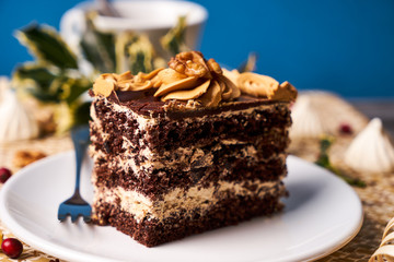 Piece of Chocolate cake with walnut