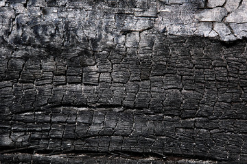 Burnt wood texture