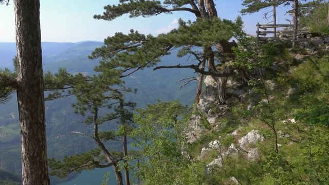 View from famous Banjska stena on Drina river in Tara National Park, Serbia, panorama 4k
