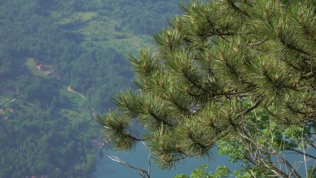 View from famous Banjska stena on Drina river in Tara National Park, Serbia, 4k
