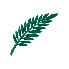 Tropical tree leaf vector Illustration