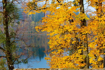 Obraz premium ブレッド湖