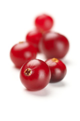 Cranberries close-up on white