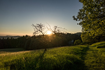 Spätsommer Landschaft Sonnenuntergang